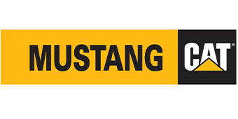 Mustang Cat