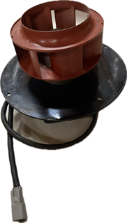 CCAP-MTR-5524-B